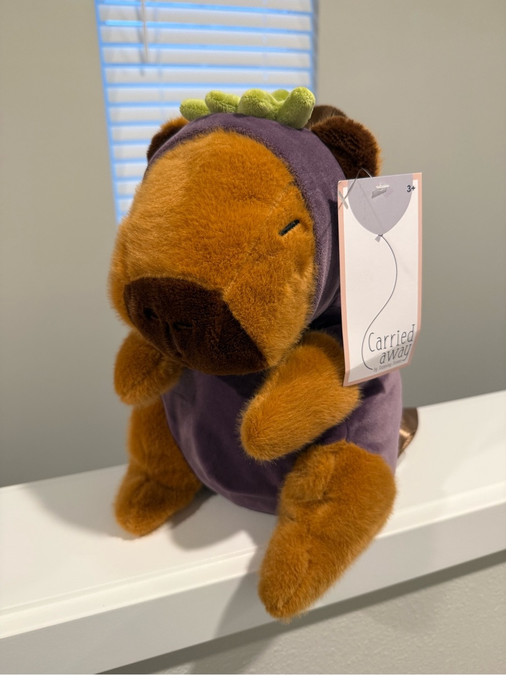 Capybara wearing Eggplant costume backpack